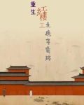 重生红楼之庶子贾环TXT下载小说