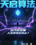 天启平台是做什么的