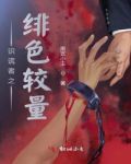 识谎者之绯色较量 小说