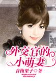 外交官的小萌妻小说笔趣图