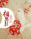 情缘不负相思引,繁华抖落离人泪