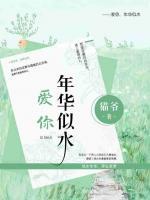 年华似水原唱