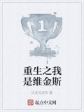 重生维金斯小说