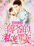 龙凤三宝：傅爷的私宠罪妻