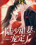 陆少甜妻宠定了 小说