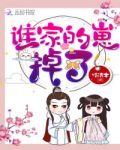 谁家的崽掉了免费